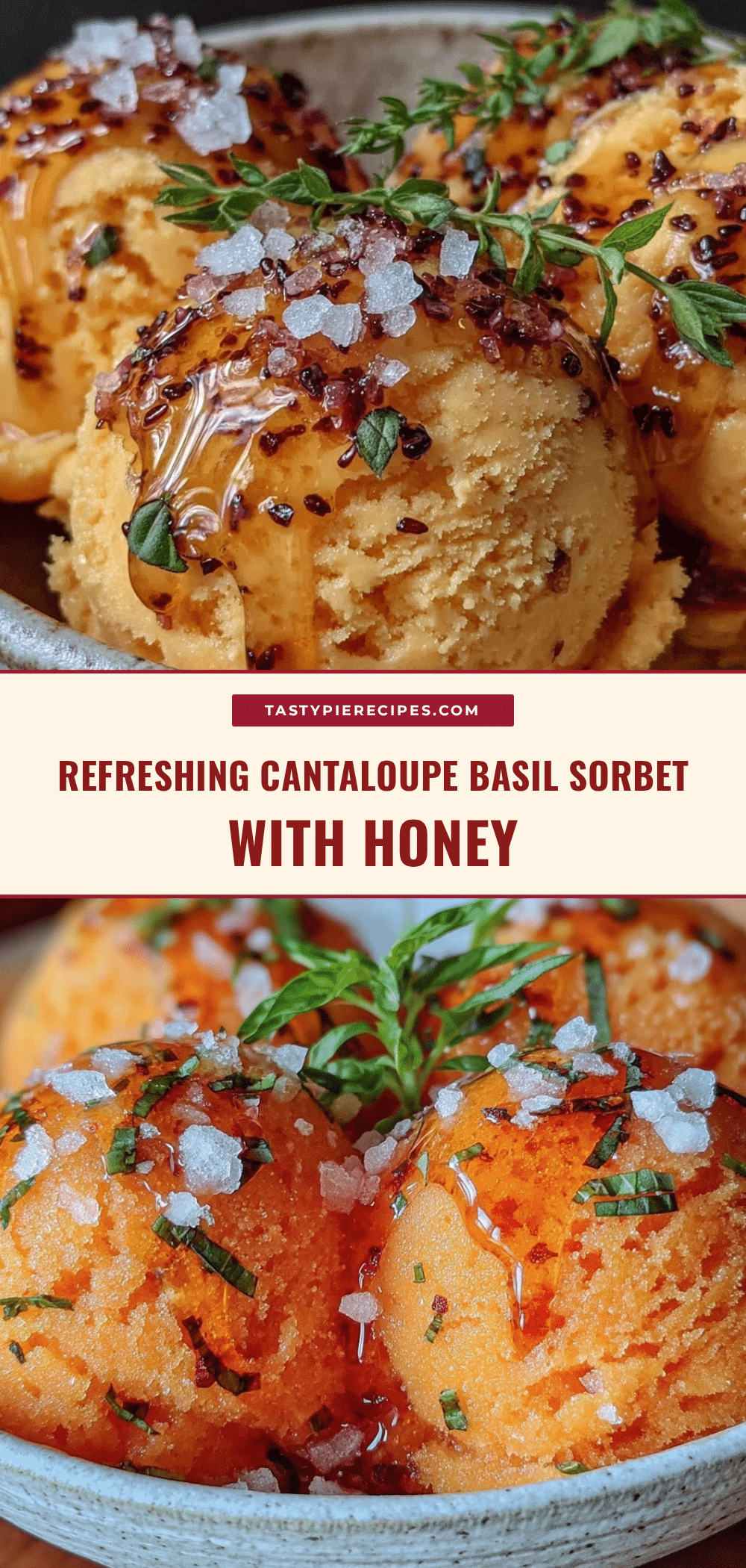 fresh cantaloupe basil sorbet recipe