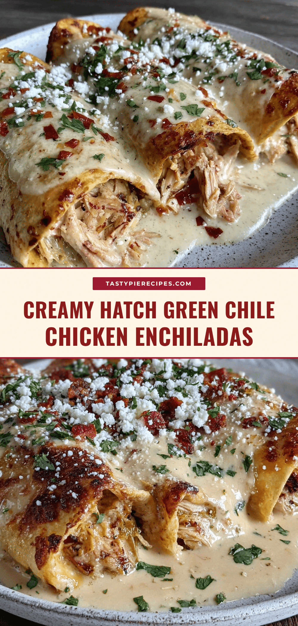 Creamy Hatch Green Chile Chicken Enchiladas recipe