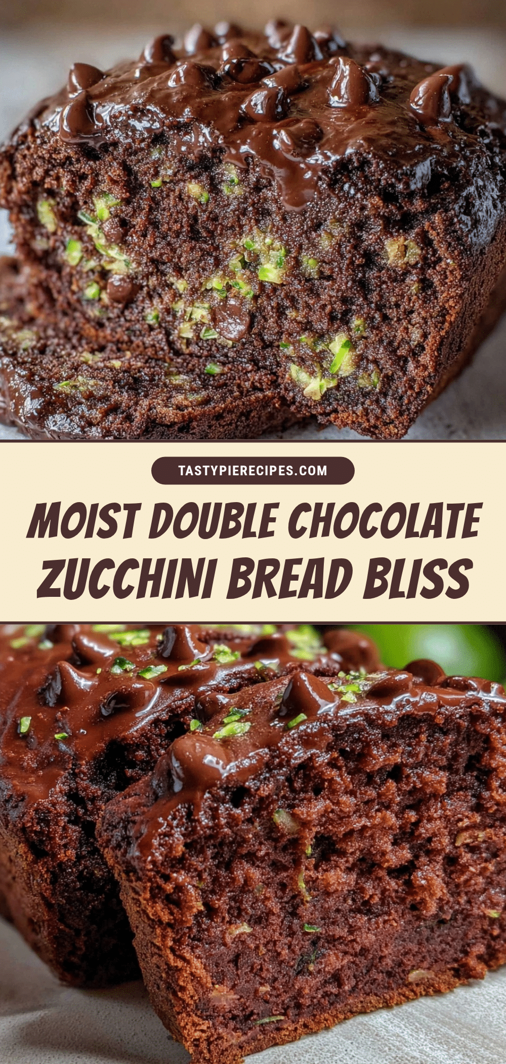 moist double chocolate zucchini bread recipe