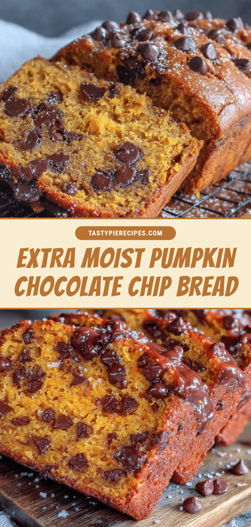 pumpkin chocolate chip bread recipe